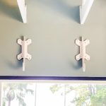 Rack and Roll | Single Board Display Rack